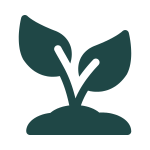 seeding icon